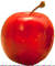 apple.png